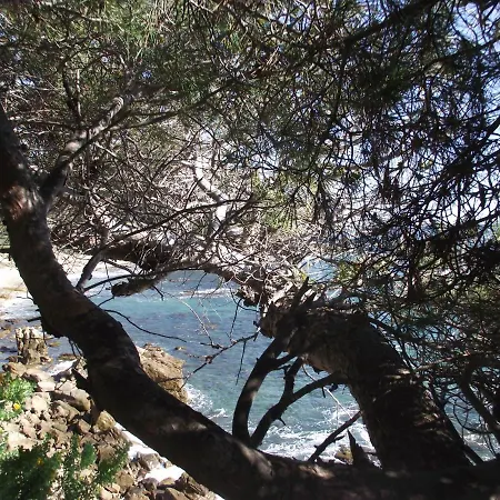 Lejlighed T2 Climatise A 500m De La Sur La Presqu'ile De Mandrier Sur *